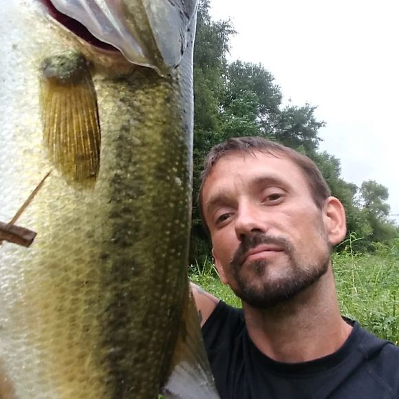 Meet your Posher, Steven - Picture 1 of 1